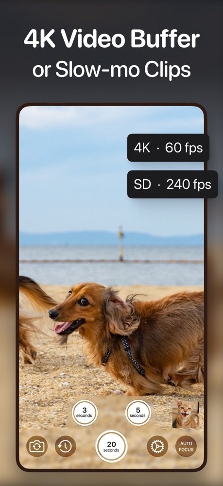 Dog running on a beach captured in 4K at 60 fps or standard definition at 240 fps slow motion